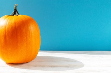 Mavi ve beyaz arka planda olgun turuncu balkabakları. Sonbahar. Cadılar Bayramı. Boşluğu kopyala, yakın plan