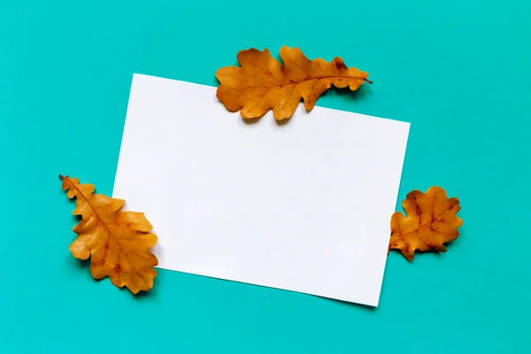 White sheet of paper and fallen autumn oak leaves on turquoise background
