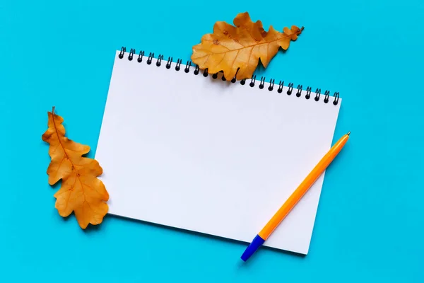 White sheet of paper, fallen autumn oak leaves and orange pen on light blue background. Notebook for notes