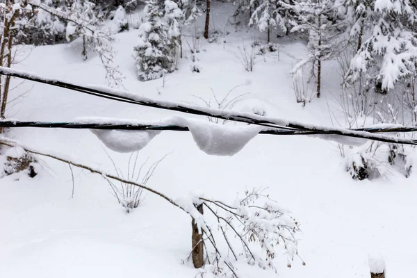 Inverno Uma Queda Neve Muita Neve Nos Fios Árvores — Fotografia de Stock