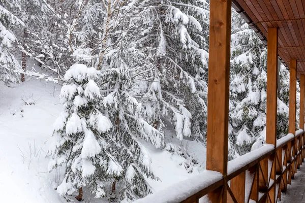 Winter. Snowfall. Trees in the snow. View from the snow-covered wooden veranda