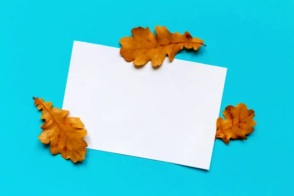White sheet of paper and fallen autumn oak leaves on light blue background