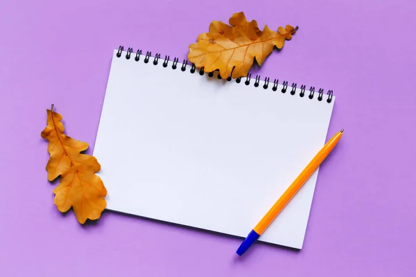 White sheet of paper, fallen autumn oak leaves and orange pen on lilac background. Notebook for notes