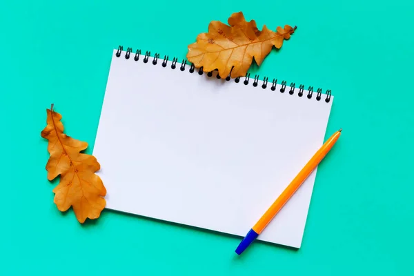 White sheet of paper, fallen autumn oak leaves and orange pen on turquoise background. Notebook for notes