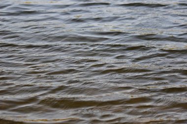 Su yüzeyinde büyük bir dalga yok.