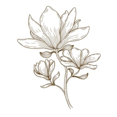 Süsleme kartları, düğün kartları, hatıra defterleri, kapaklar, kıyafet kalıpları ve daha fazlası için beyaz zemin üzerine kahverengi tonda karalama çizimi vektör çizgisi çizimi 