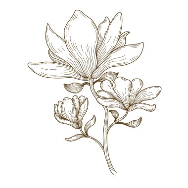 Süsleme kartları, düğün kartları, hatıra defterleri, kapaklar, kıyafet kalıpları ve daha fazlası için beyaz zemin üzerine kahverengi tonda karalama çizimi vektör çizgisi çizimi 