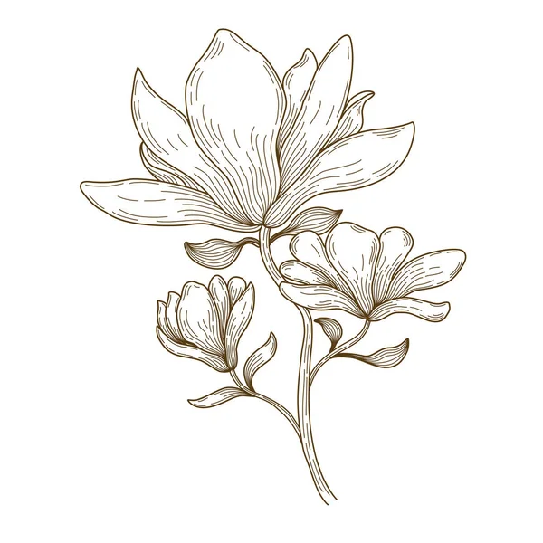 Süsleme kartları, düğün kartları, hatıra defterleri, kapaklar, kıyafet kalıpları ve daha fazlası için beyaz zemin üzerine kahverengi tonda karalama çizimi vektör çizgisi çizimi 