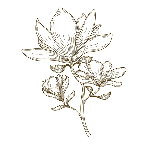 Süsleme kartları, düğün kartları, hatıra defterleri, kapaklar, kıyafet kalıpları ve daha fazlası için beyaz zemin üzerine kahverengi tonda karalama çizimi vektör çizgisi çizimi 