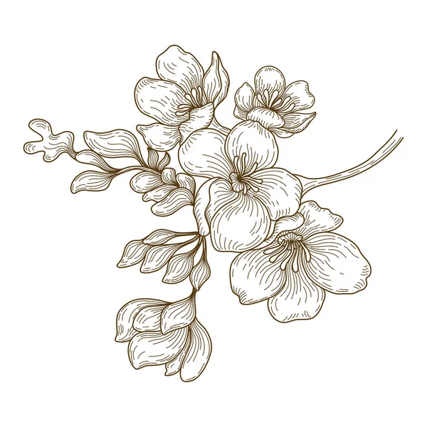 Vector Blumenlinie Kunst Illustration Braunen Farbkritzelstil Auf Weißem Hintergrund Für — Stockvektor