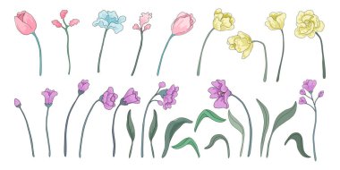 Çiçek elemanları kümesi vektör illüstrasyonları dekorasyon kartları, dijital baskılar, çıkartmalar, tişört tasarımları, çantalar, giysi desenleri, el sanatları ve daha fazlası için beyaz zemin üzerinde karalama tarzında tasarlanmıştır..