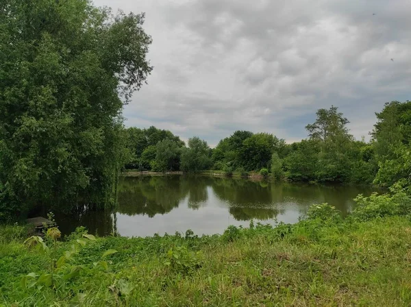 Bellissimo Paesaggio Con Fiume Alberi — Foto Stock