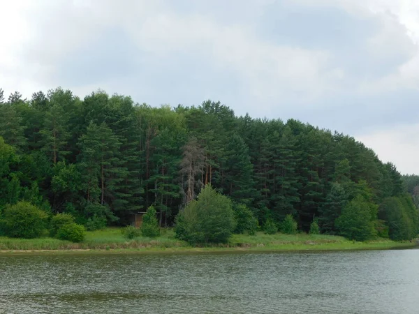 Beau Paysage Avec Rivière Forêt — Photo
