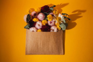 Kasımpatı ve okaliptüs yaprakları kahverengi bir zarfın içinde. Düz yatıyordu