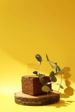 Tahta daireden yapılmış objeler için podyum, doğal ve cam küp. Ön görünüm