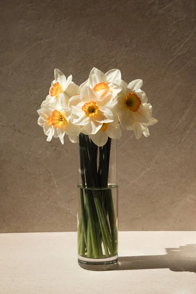 Daffodils in a glass vase on a light beige background — Photo