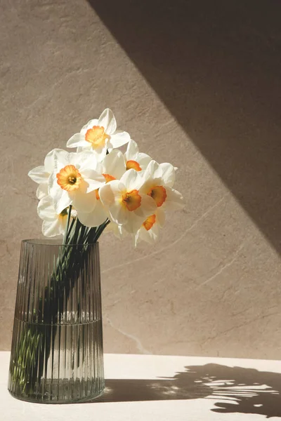 Daffodils in a glass vase with a shadow on a light beige background — Photo