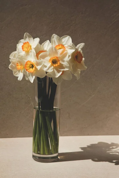 Daffodils in a glass vase on a light beige background — Photo