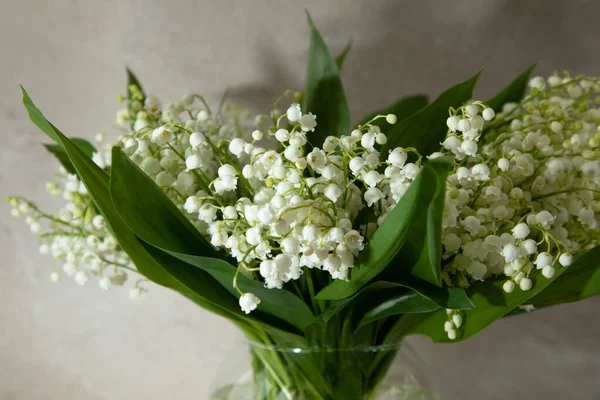 Bej bir arka planda vadi zambakları. Ön görünüm