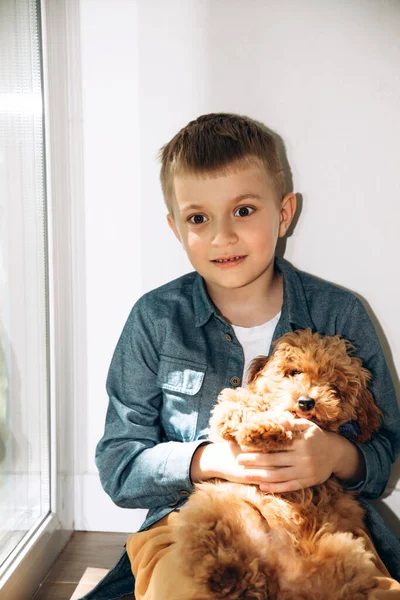 Joyful Menino Anos Sentado Chão Brincando Com Cão — Fotografia de Stock