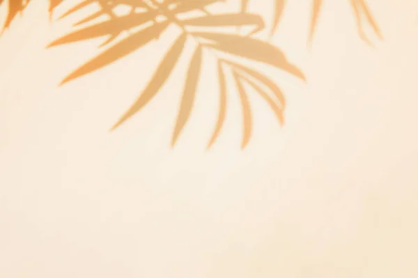 The shadow of the leaves of a tropical plant on a light peach background. Copy space, free place, top view