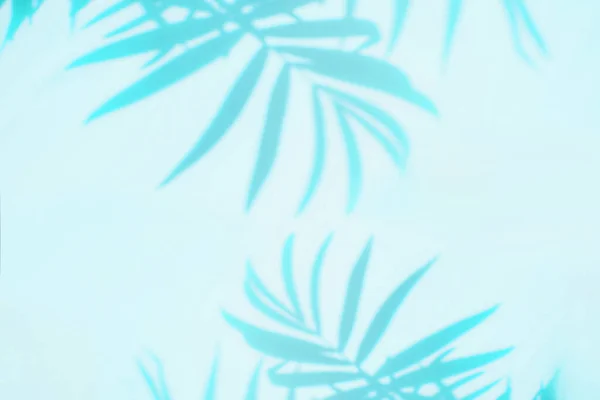The shadow of the leaves of a tropical plant on a light blue background. Copy space, free place, top view