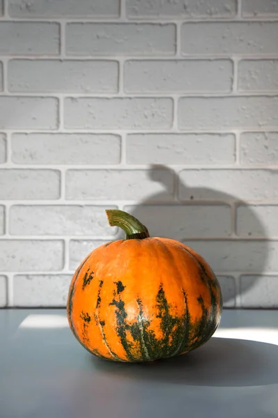 Orange pumpkin on a white table against a white brick wall background with shadow. Front view