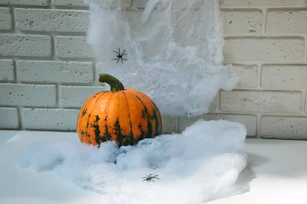 Pumpkin, cobwebs with spiders on a white table against a white brick wall background. Halloween composition with shadows, front view, selective focus