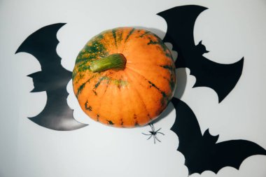Pumpkin and bats on a white table on white background. Halloween decoration composition, top view
