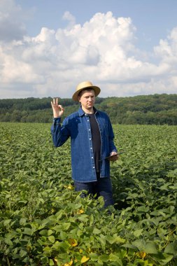 A farmer in a straw hat with a tablet checks the quality of soybeans in an agricultural field and shows ok. Front view