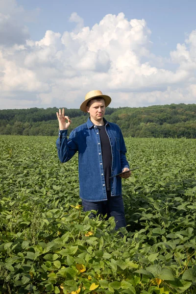 Farmer Straw Hat Tablet Checks Quality Soybeans Agricultural Field Shows — Stockfoto