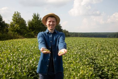 A farmer in a straw hat checks the quality of soybeans in an agricultural field and holds soybeans in his hands and smiles. Front view