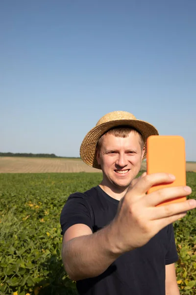 A farmer in a straw hat and dark blue clothes makes selfie on agricultural field with soybeans. Front view