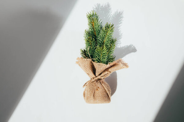 Small green decorative Christmas tree wrapped in burlap with shadows on a white background. Flat lay