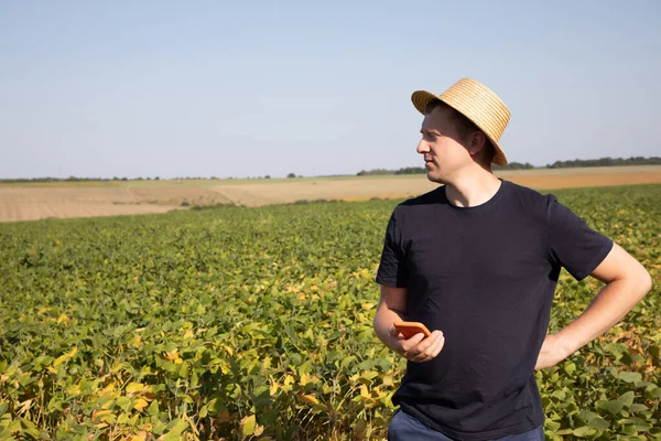 Farmář Slaměném Klobouku Tmavomodrém Oblečení Chytrým Telefonem Dívá Zemědělské Pole — Stock fotografie