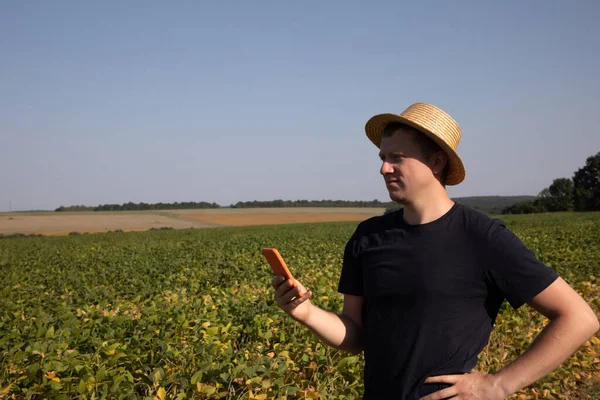 An agronomist in a straw hat and dark blue clothes with smartphone looks on agricultural field with soybeans. Front view