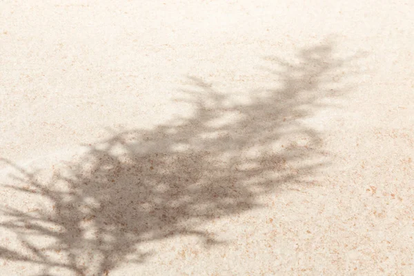 Fundo Pedra Leve Com Sombras Galhos Árvores Frondosas Visão Superior — Fotografia de Stock