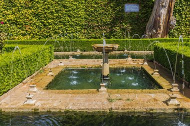 Generalife 'de güzel bir bahçedeki çeşmenin orada. Efsaneye göre, Sultan 'ın bu selvisi Abencerraje ailesinden bir şövalyenin ve Boabdil' in karısının aşk ilişkilerine tanıklık etmiş.