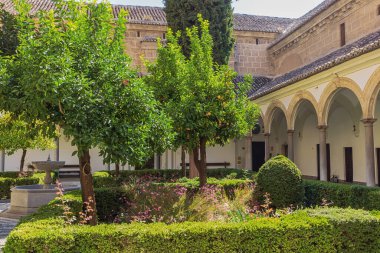 Granada 'nın kuzeyindeki Cartuja Manastırı' nın bahçesinde çiçekler ve portakallar.