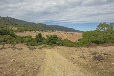 Afrika kıyıları arkadayken Algeciras 'ın iç kesimlerinde yürüyorum.