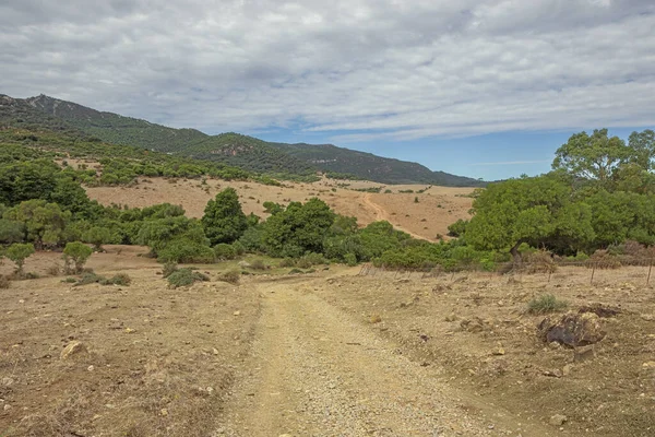 Spaziergang Durch Das Hinterland Von Algeciras Mit Der Afrikanischen Küste — Stockfoto