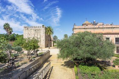 Jerez de la Frontera 'nın Alcazar bahçesinde