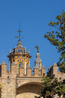 Arka planda Giralda ile Sevilla 'daki Alcazar bahçesi.
