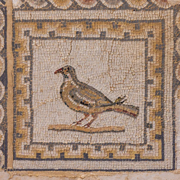 Mozaika Holuba Podlaze Ptačího Domu Italice Archeologického Naleziště Okraji Sevilly — Stock fotografie
