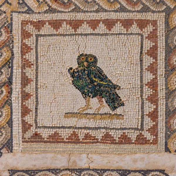 Mozaika Sovy Podlaze Domu Ptáků Italice Archeologické Naleziště Okraji Sevilly — Stock fotografie