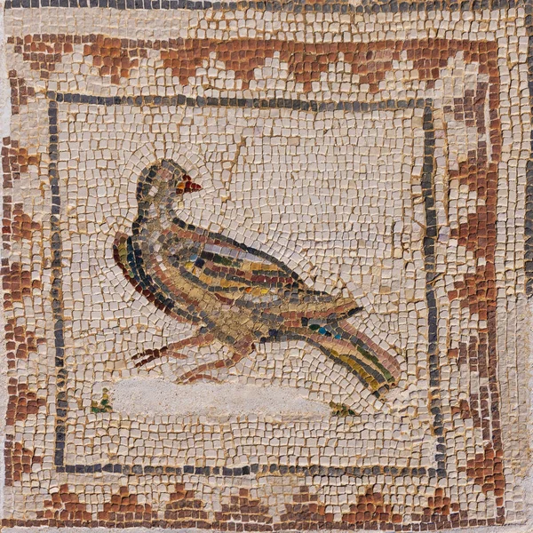 Mozaika Ptáka Podlaze Ptačího Domu Italice Archeologické Naleziště Okraji Sevilly — Stock fotografie