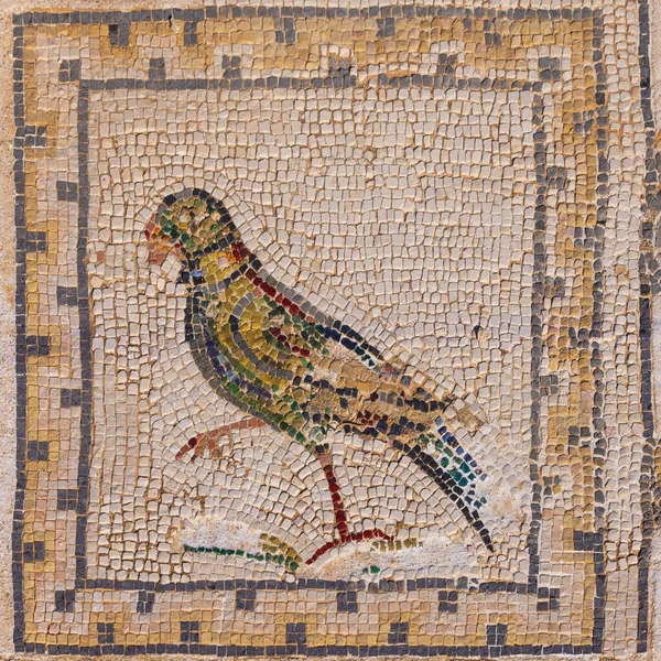 Mozaika Papouška Podlaze Ptačího Domu Italice Archeologické Naleziště Okraji Sevilly — Stock fotografie