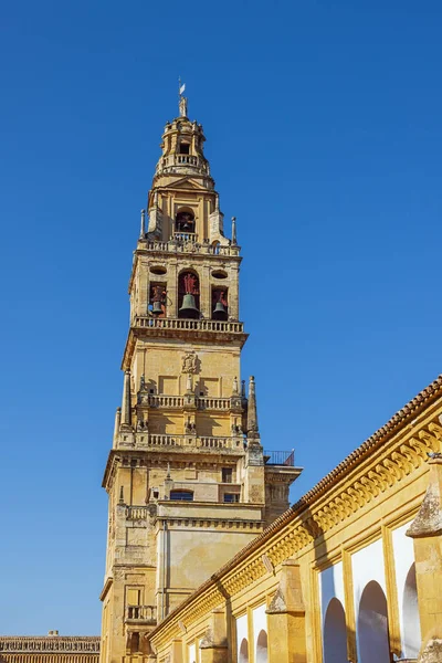 Mirando Hacia Torre Catedral Córdoba Vista Desde Costado Del Edificio — Foto de Stock