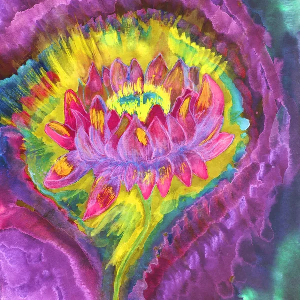 Vibrant Lotus Flower Dabbing Technique Edges Gives Soft Focus Effect — ストック写真