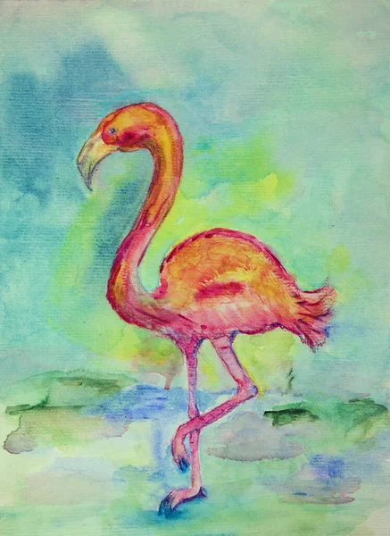 Pink Flamingo Dabbing Technique Edges Gives Soft Focus Effect Due — Stockfoto